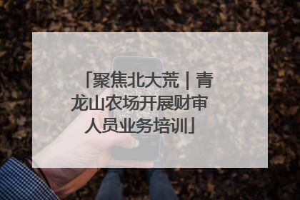 聚焦北大荒｜青龙山农场开展财审人员业务培训