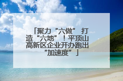 聚力“六做” 打造“六地”！平顶山高新区企业开办跑出“加速度”