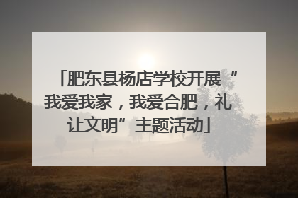 肥东县杨店学校开展“我爱我家，我爱合肥，礼让文明”主题活动