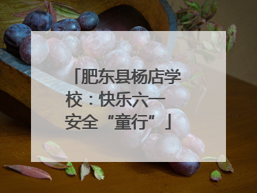 肥东县杨店学校：快乐六一 安全“童行”