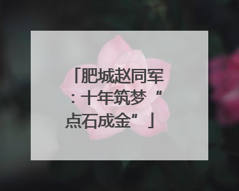 肥城赵同军：十年筑梦“点石成金”