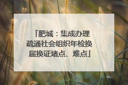 肥城：集成办理 疏通社会组织年检换届换证堵点、难点