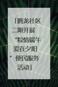腾龙社区二期开展 “粽情端午 爱在夕阳”便民服务活动