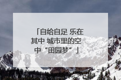 自给自足 乐在其中 城市里的空中“田园梦”