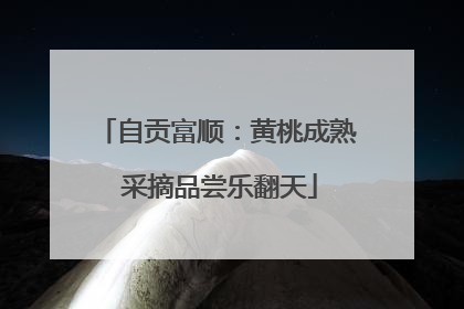 自贡富顺：黄桃成熟 采摘品尝乐翻天