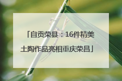 自贡荣县：16件精美土陶作品亮相重庆荣昌