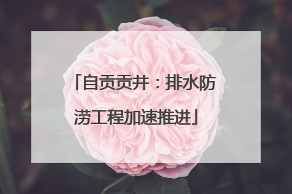 自贡贡井：排水防涝工程加速推进