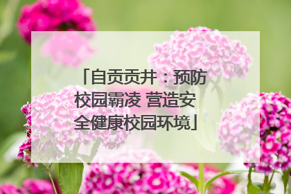 自贡贡井：预防校园霸凌 营造安全健康校园环境
