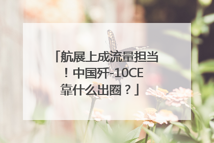 航展上成流量担当！中国歼-10CE靠什么出圈？