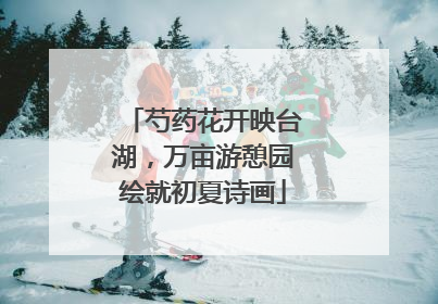 芍药花开映台湖，万亩游憩园绘就初夏诗画
