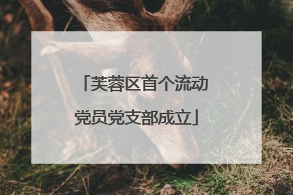 芙蓉区首个流动党员党支部成立