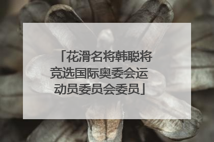 花滑名将韩聪将竞选国际奥委会运动员委员会委员