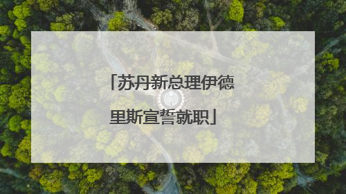 苏丹新总理伊德里斯宣誓就职