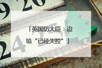 英国防大臣：边境“已经失控”
