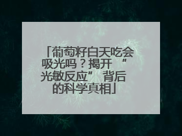 葡萄籽白天吃会吸光吗？揭开 “光敏反应” 背后的科学真相