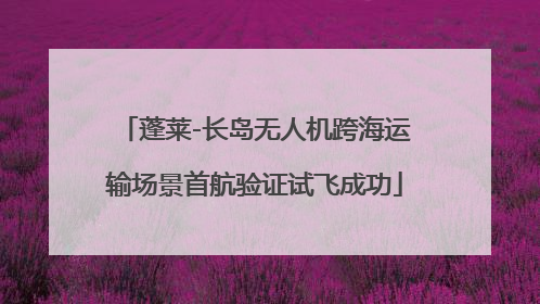 蓬莱-长岛无人机跨海运输场景首航验证试飞成功