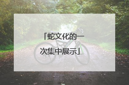 蛇文化的一次集中展示