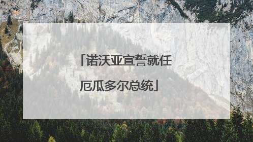 诺沃亚宣誓就任厄瓜多尔总统