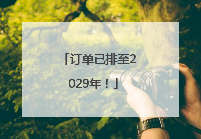 订单已排至2029年！