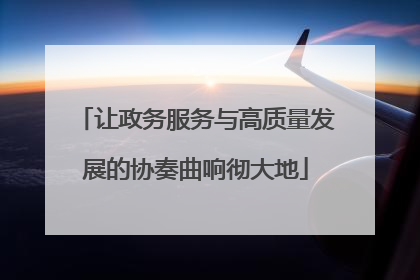 让政务服务与高质量发展的协奏曲响彻大地