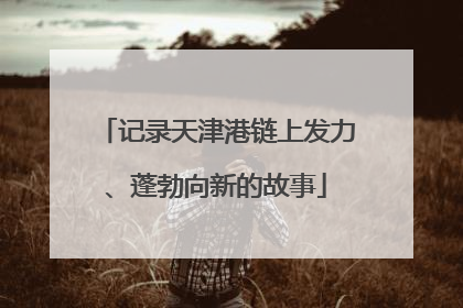 记录天津港链上发力、蓬勃向新的故事
