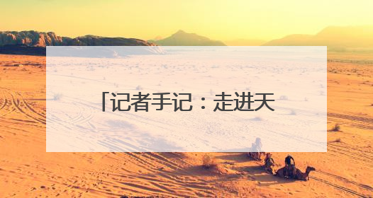 记者手记：走进天津港，窥见未来现代化港口的模样