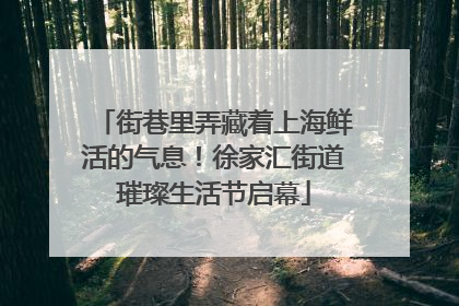 街巷里弄藏着上海鲜活的气息！徐家汇街道璀璨生活节启幕