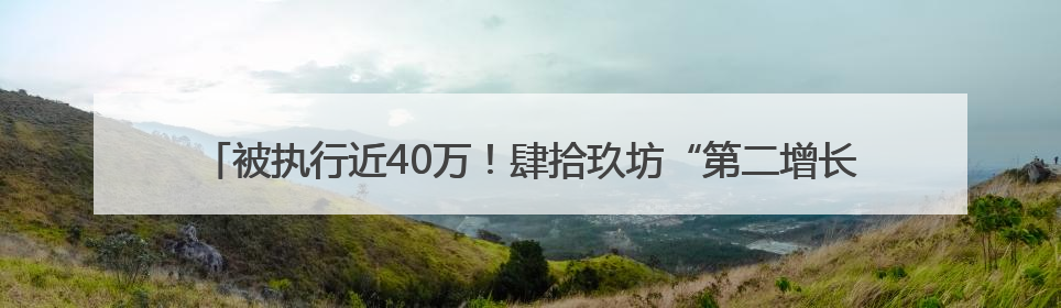 被执行近40万！肆拾玖坊“第二增长曲线”茅泉酒业，卖酒还是卖模式？