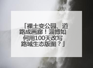 裸土变公园、道路成画廊！淄博如何用100天改写路域生态版图？