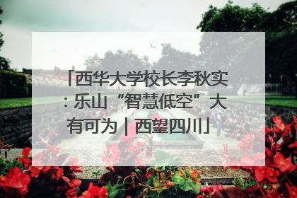 西华大学校长李秋实：乐山“智慧低空”大有可为｜西望四川