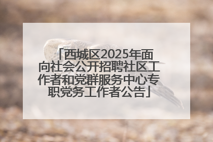 西城区2025年面向社会公开招聘社区工作者和党群服务中心专职党务工作者公告