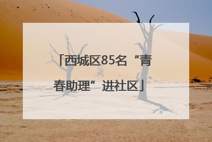 西城区85名“青春助理”进社区