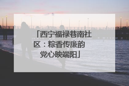 西宁福禄巷南社区：粽香传廉韵 党心映端阳
