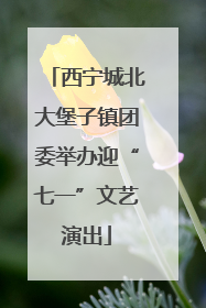 西宁城北大堡子镇团委举办迎“七一”文艺演出