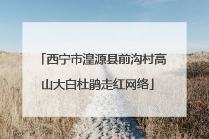 西宁市湟源县前沟村高山大白杜鹃走红网络