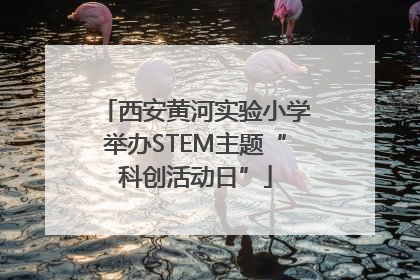 西安黄河实验小学举办STEM主题“科创活动日”
