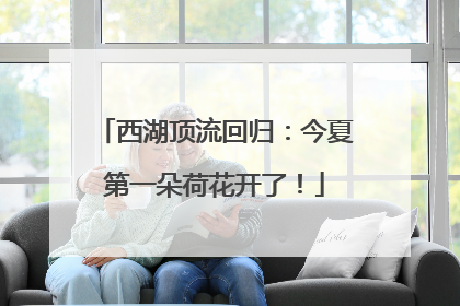 西湖顶流回归：今夏第一朵荷花开了！
