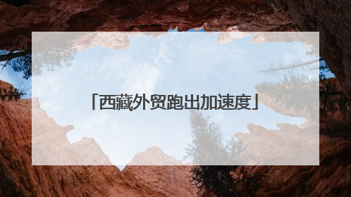 西藏外贸跑出加速度