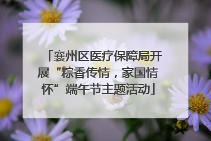 襄州区医疗保障局开展“粽香传情，家国情怀”端午节主题活动