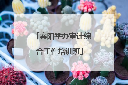 襄阳举办审计综合工作培训班