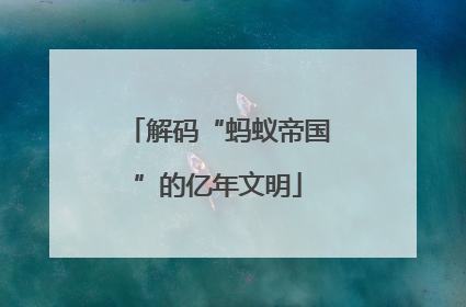 解码“蚂蚁帝国”的亿年文明