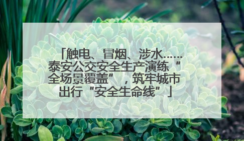 触电、冒烟、涉水……泰安公交安全生产演练“全场景覆盖”，筑牢城市出行“安全生命线”