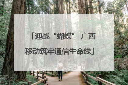 迎战“蝴蝶” 广西移动筑牢通信生命线