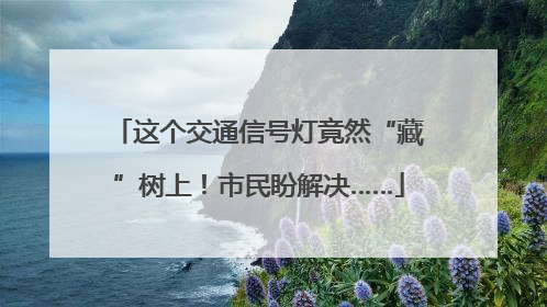 这个交通信号灯竟然“藏”树上！市民盼解决……
