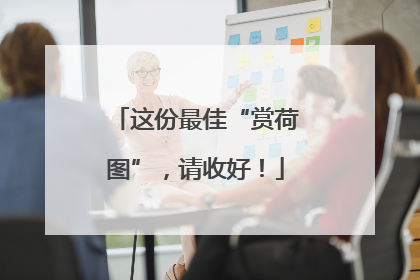 这份最佳“赏荷图”，请收好！