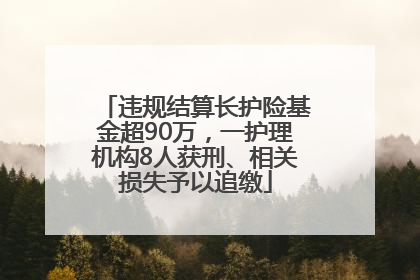 违规结算长护险基金超90万，一护理机构8人获刑、相关损失予以追缴