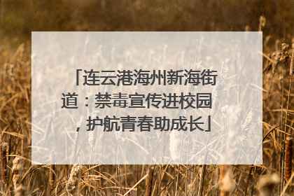 连云港海州新海街道：禁毒宣传进校园，护航青春助成长