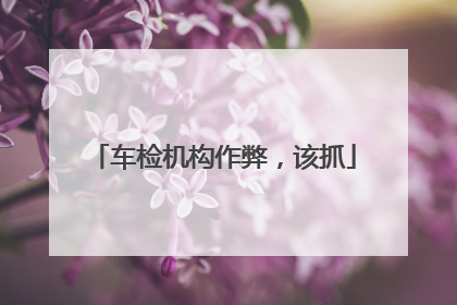 车检机构作弊，该抓