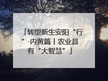 转型新生安阳“行”·内黄篇丨农业县有“大智慧”