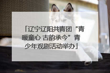 辽宁辽阳共青团“青暖童心 古韵承今”青少年观剧活动举办